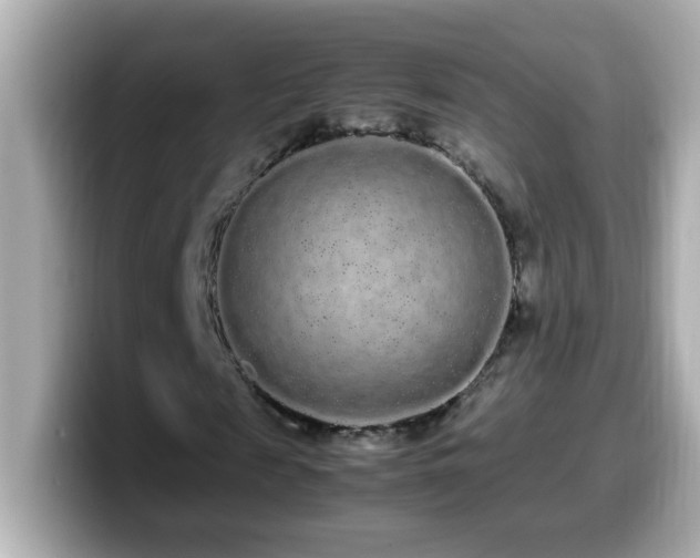 X0000099940817200805231249
