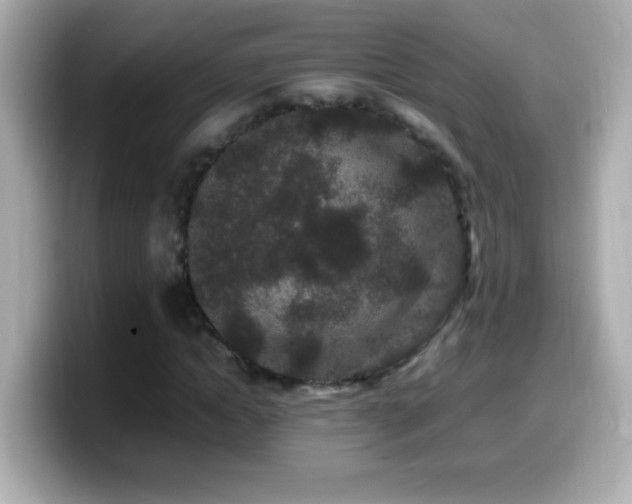 X0000099940822200805231249