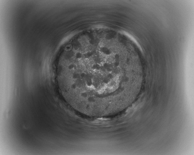 X0000099940823200805231249
