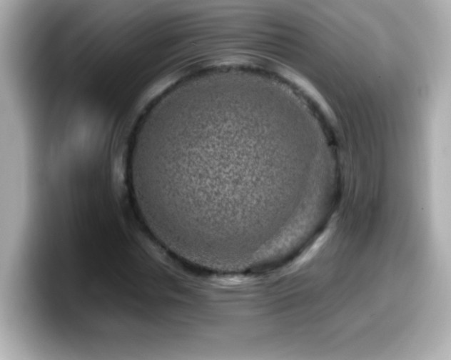 X0000099940826200805231249
