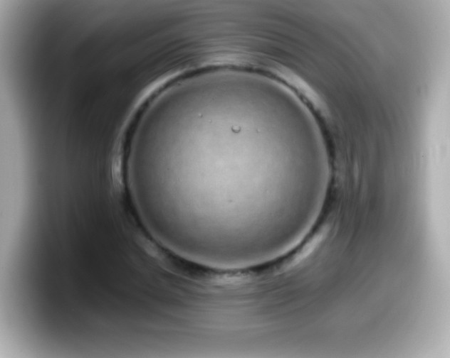 X0000099940830200805231249
