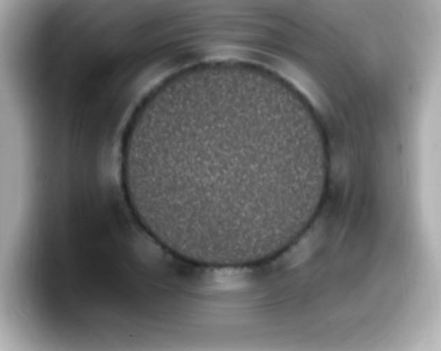 X0000099940832200805231249