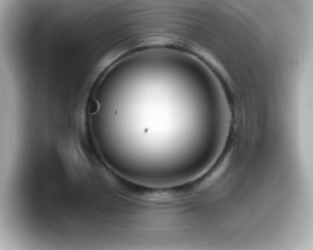 X0000099940834200805231250