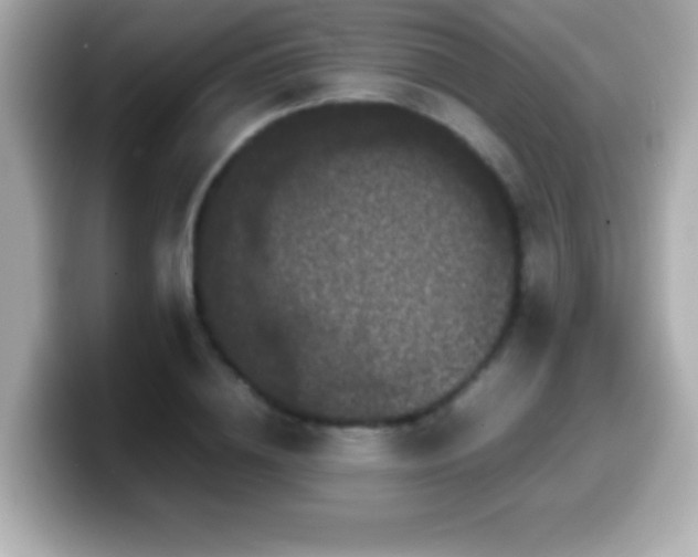 X0000099940836200805231250