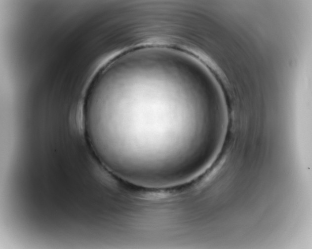 X0000099940838200805231250