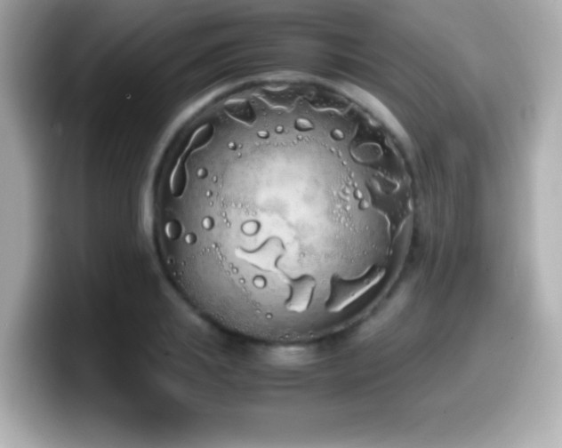 X0000099940839200805231250