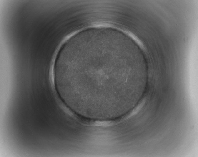 X0000099940840200805231250