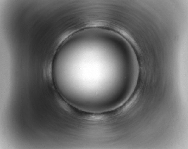 X0000099940842200805231250