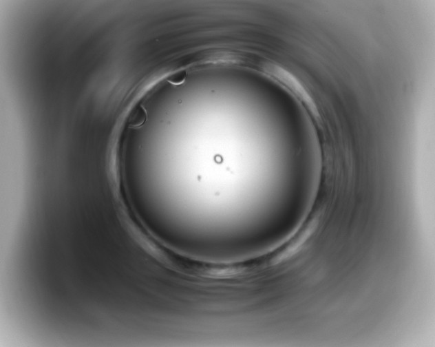 X0000099940843200805231250