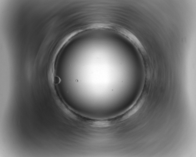 X0000099940844200805231250