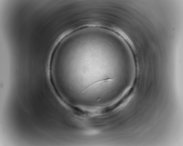 X0000099940845200805231250