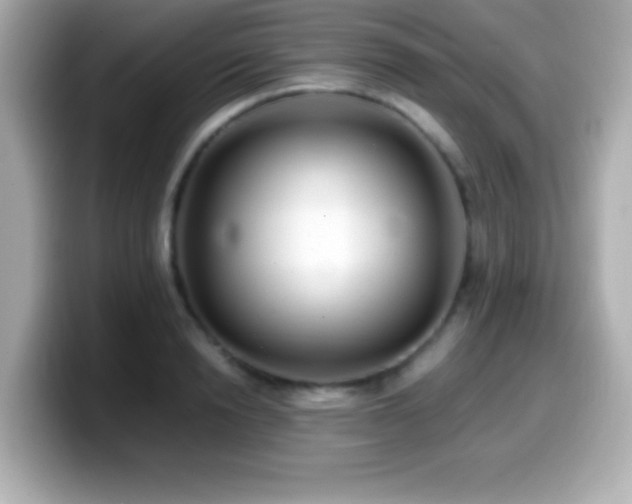 X0000099940846200805231250