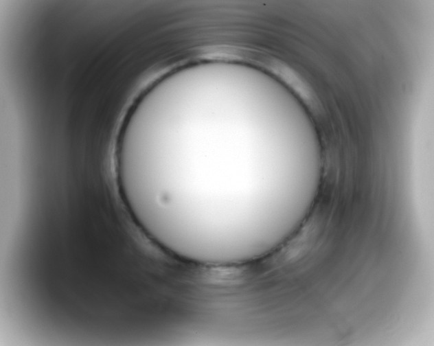 X0000099940848200805231250