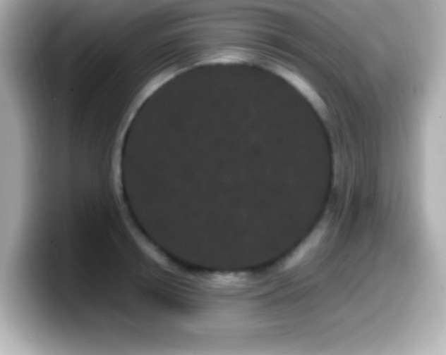 X0000099940850200805231250