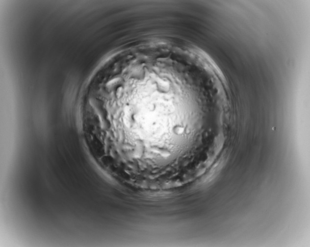 X0000099940851200805231250