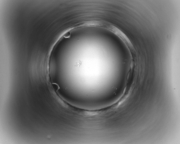 X0000099940852200805231250