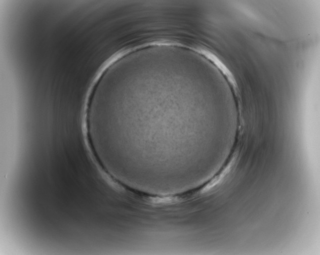 X0000099940853200805231250