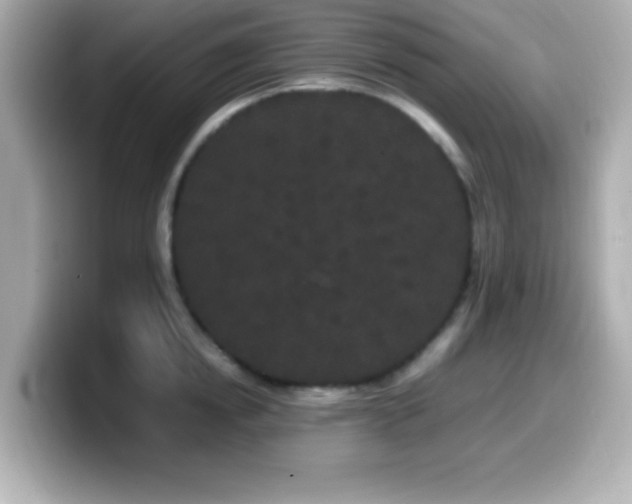 X0000099940854200805231250