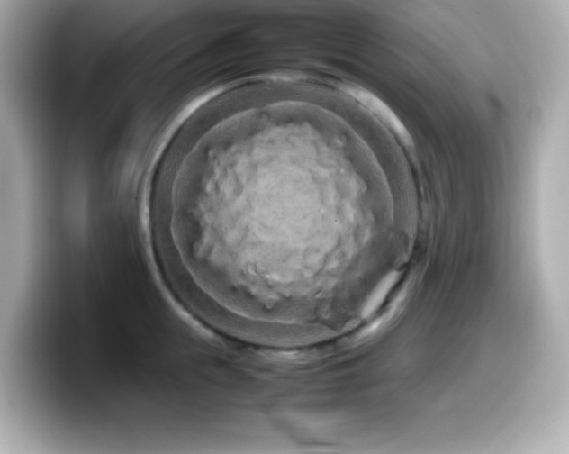 X0000099940855200805231250