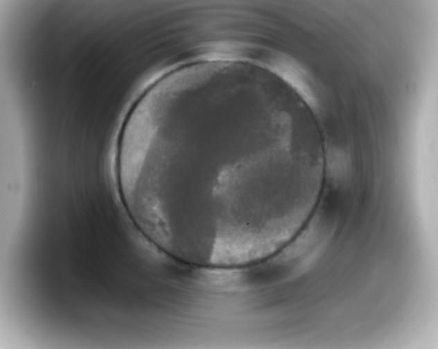X0000099940856200805231250