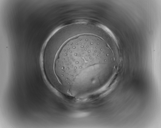X0000099940859200805231250