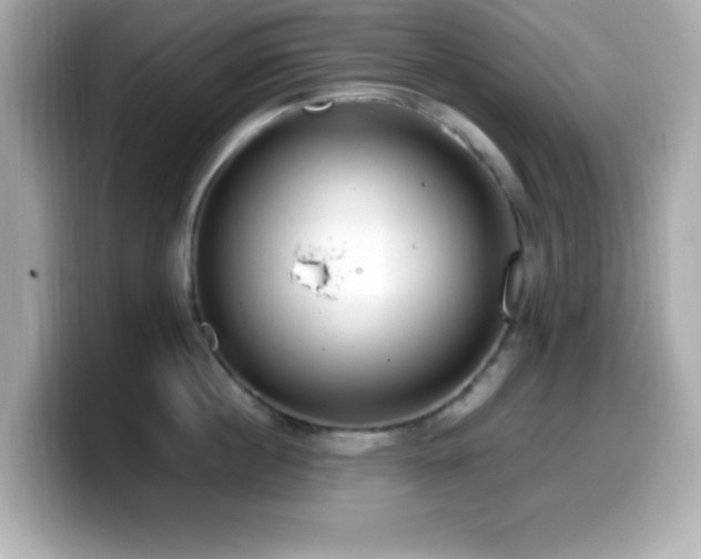 X0000099940860200805231250