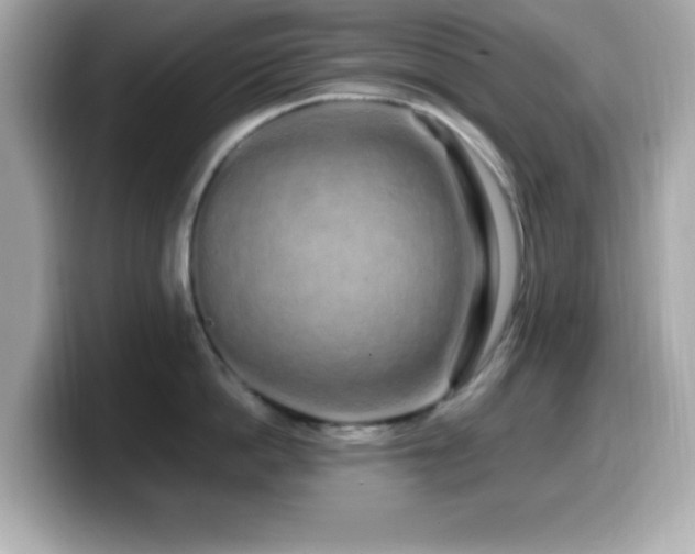 X0000099940862200805231250