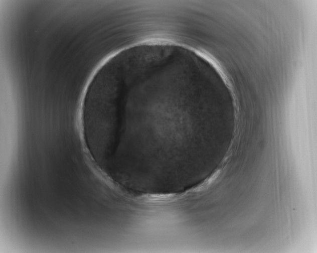 X0000099940864200805231250