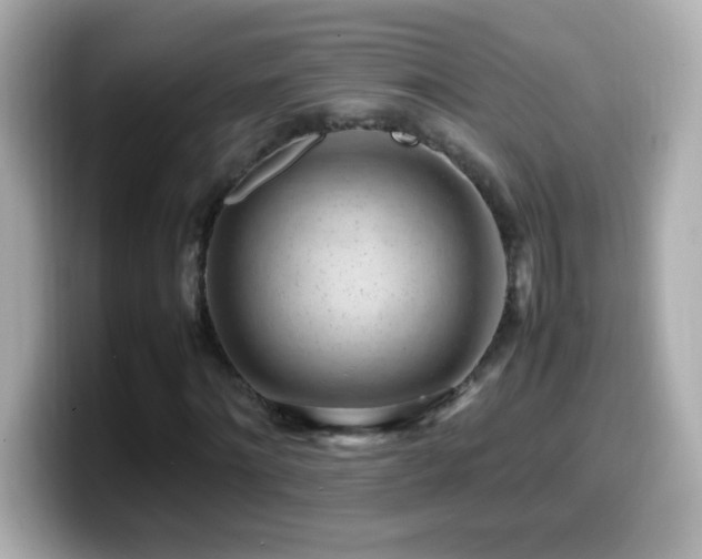 X0000099940868200805231249