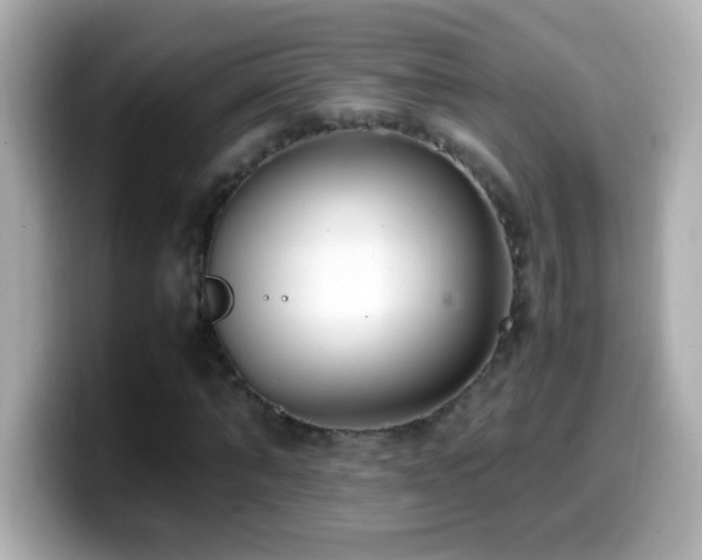 X0000099940870200805231249
