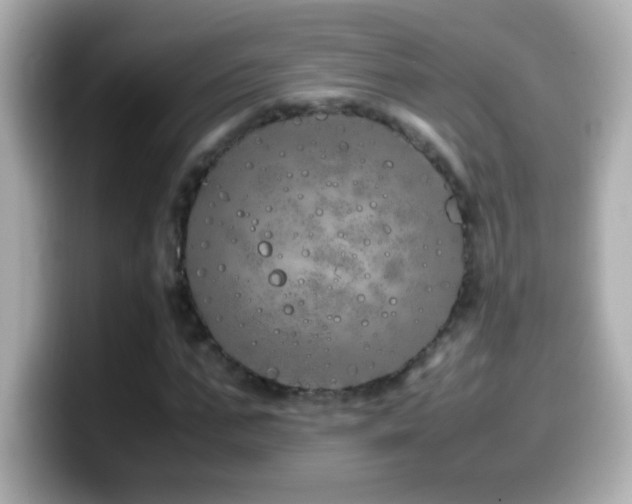 X0000099940871200805231249