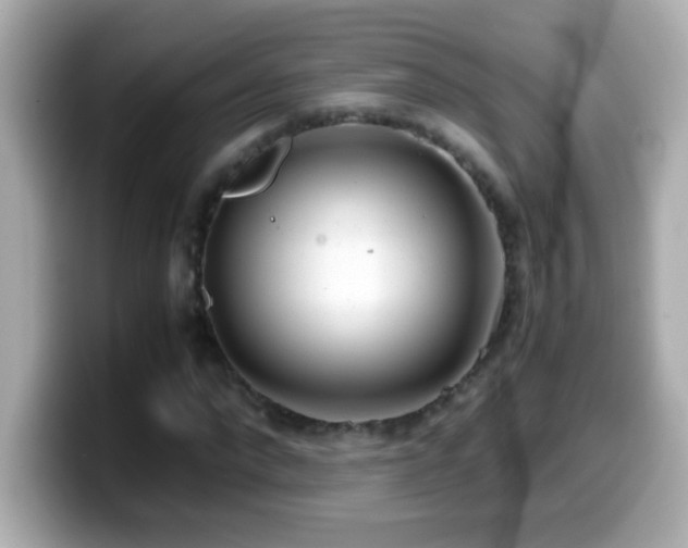 X0000099940872200805231249