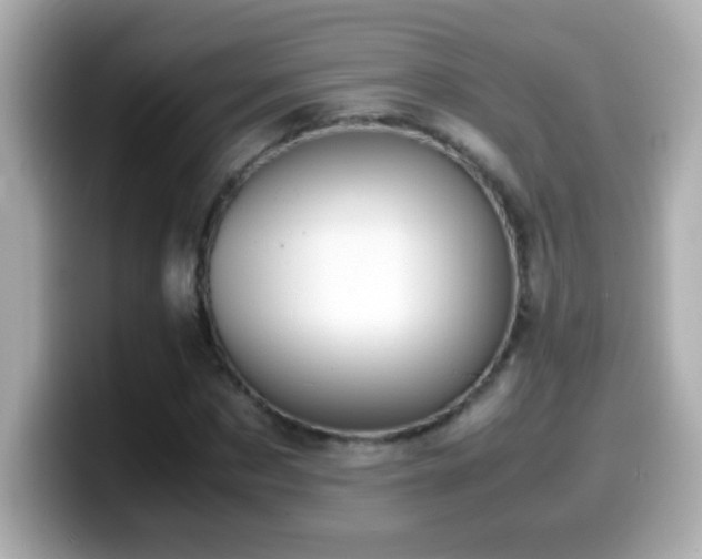 X0000099940873200805231249