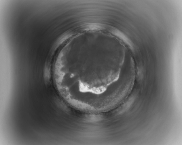X0000099940874200805231249
