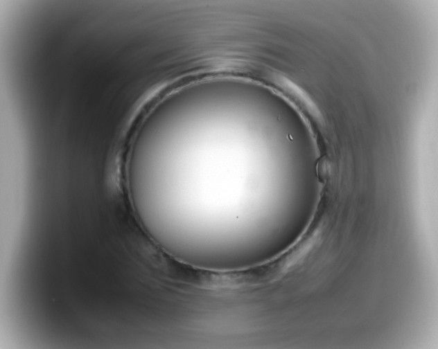 X0000099940875200805231249