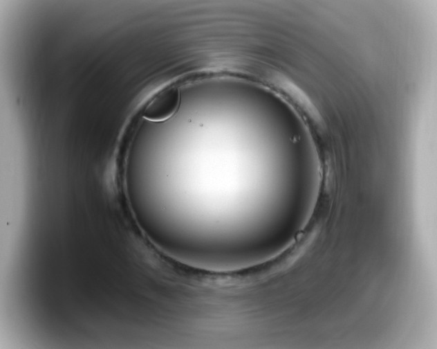 X0000099940876200805231249