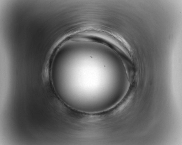 X0000099940877200805231249