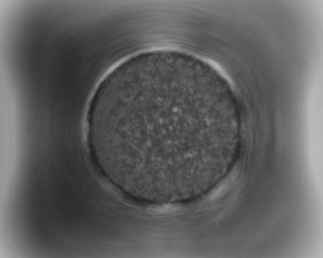 X0000099940879200805231249