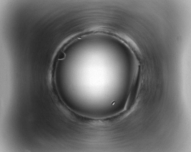 X0000099940880200805231249
