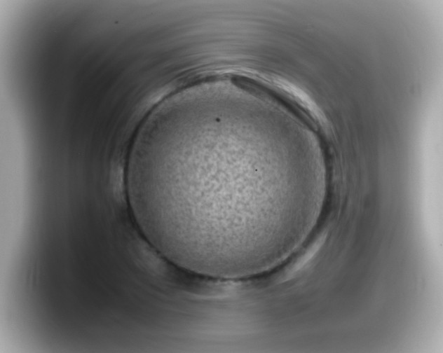 X0000099940881200805231249