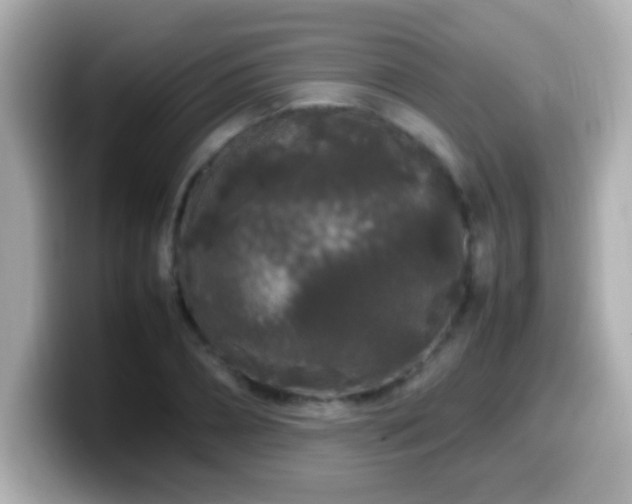 X0000099940882200805231249
