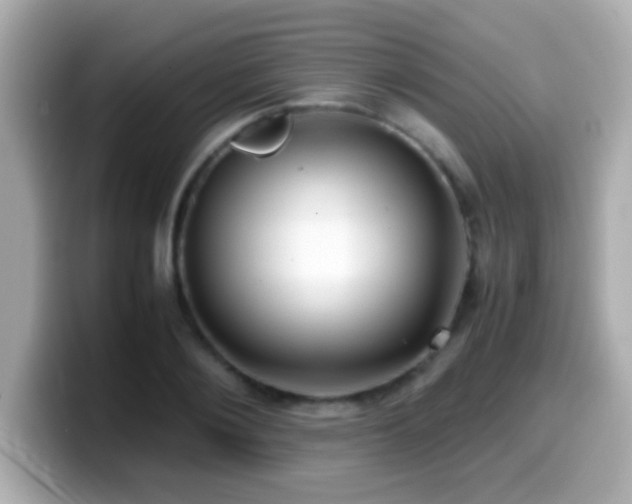X0000099940884200805231249