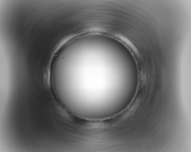 X0000099940886200805231249