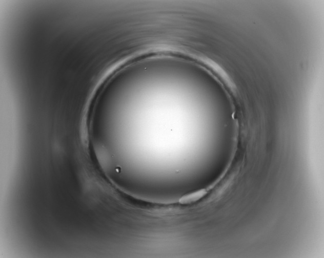 X0000099940887200805231249