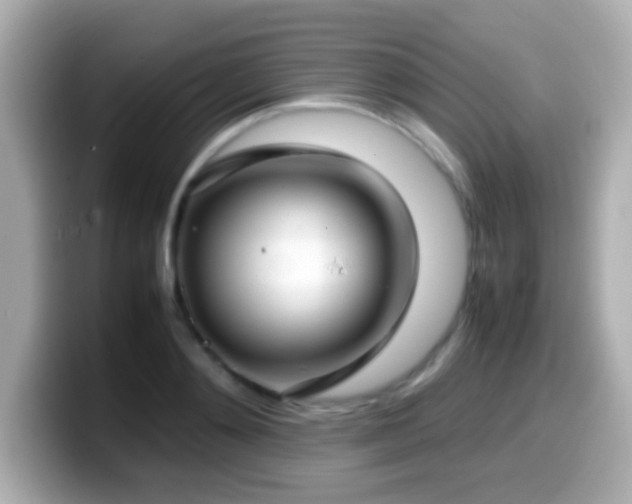 X0000099940892200805231249