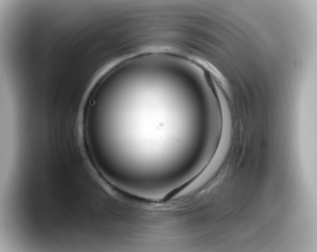 X0000099940894200805231249