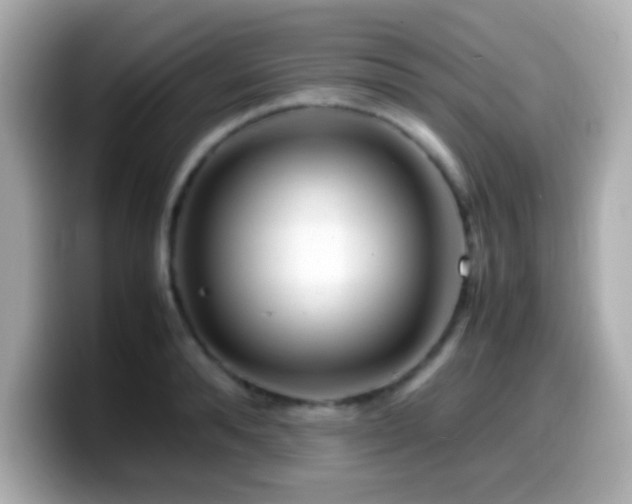 X0000099940896200805231249