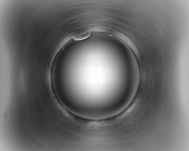 X0000099940898200805231249