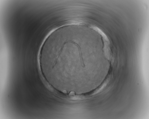 X0000099940899200805231249