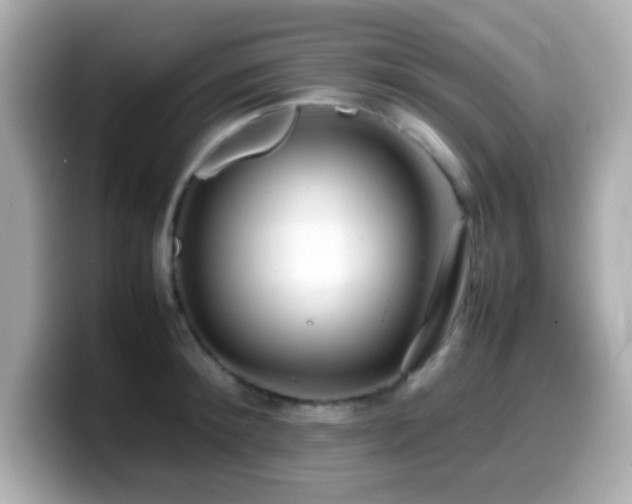 X0000099940900200805231249